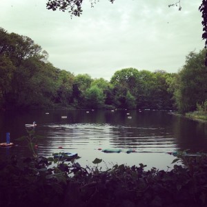 Pond swim